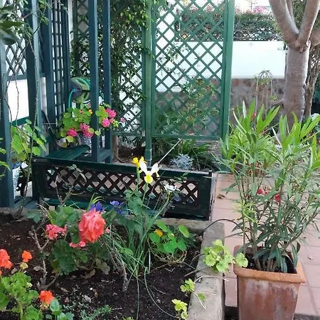 El Sauzal: Casa Flora Garden