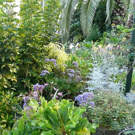 El Sauzal: Casa Flora Garden * El Sauzal
