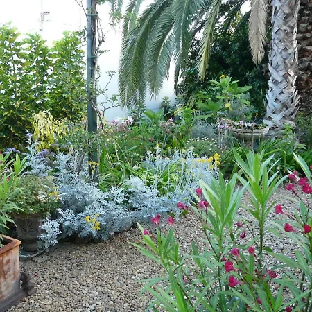 El Sauzal: Casa Flora Garden