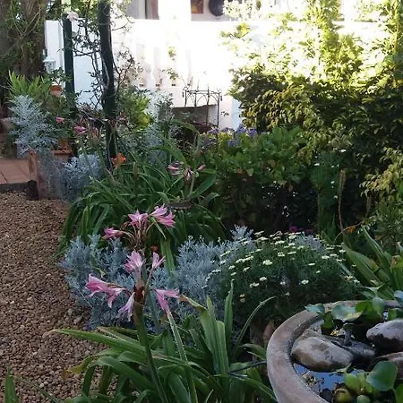 El Sauzal: Casa Flora Garden 公寓
