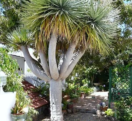 公寓 El Sauzal: Casa Flora Garden 绍萨尔