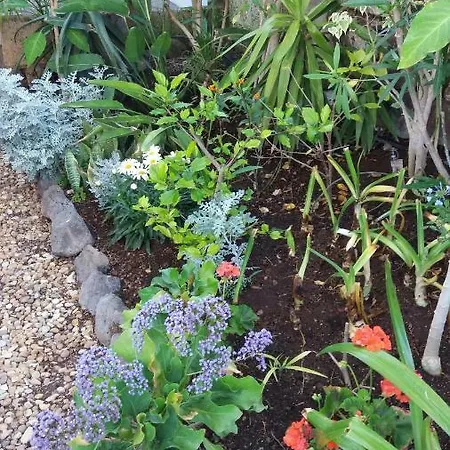 公寓 El Sauzal: Casa Flora Garden *